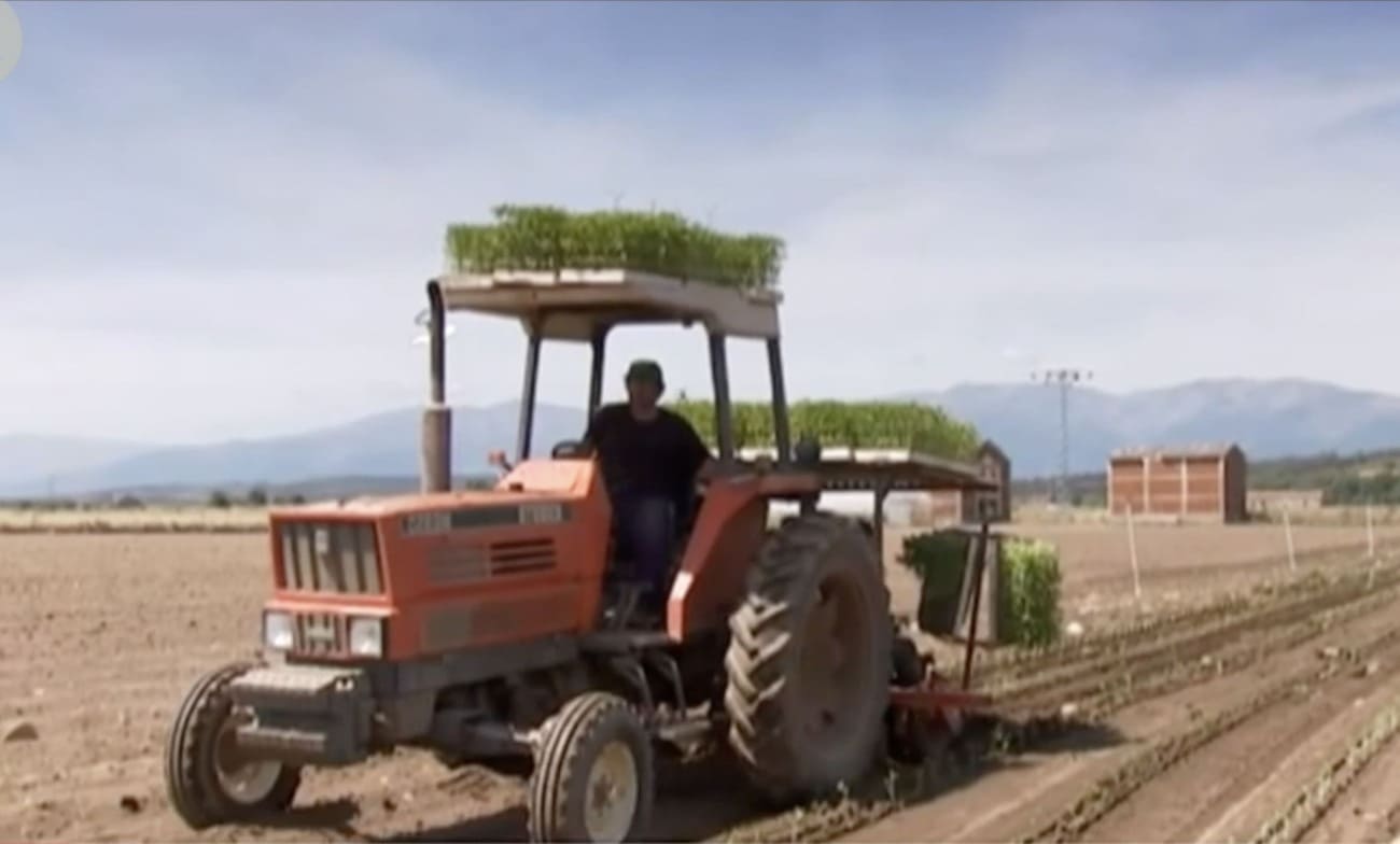 Tractor sembrando en un campo de pimenton en la provincia de La Vera